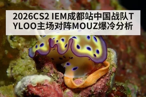 2026CS2 IEM成都站中国战队TYLOO主场对阵MOUZ爆冷分析